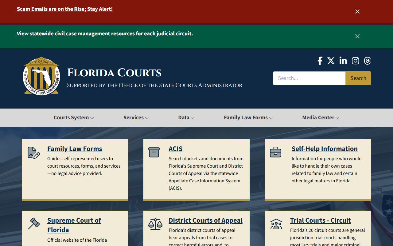 Florida Courts homepage for criminal case records search